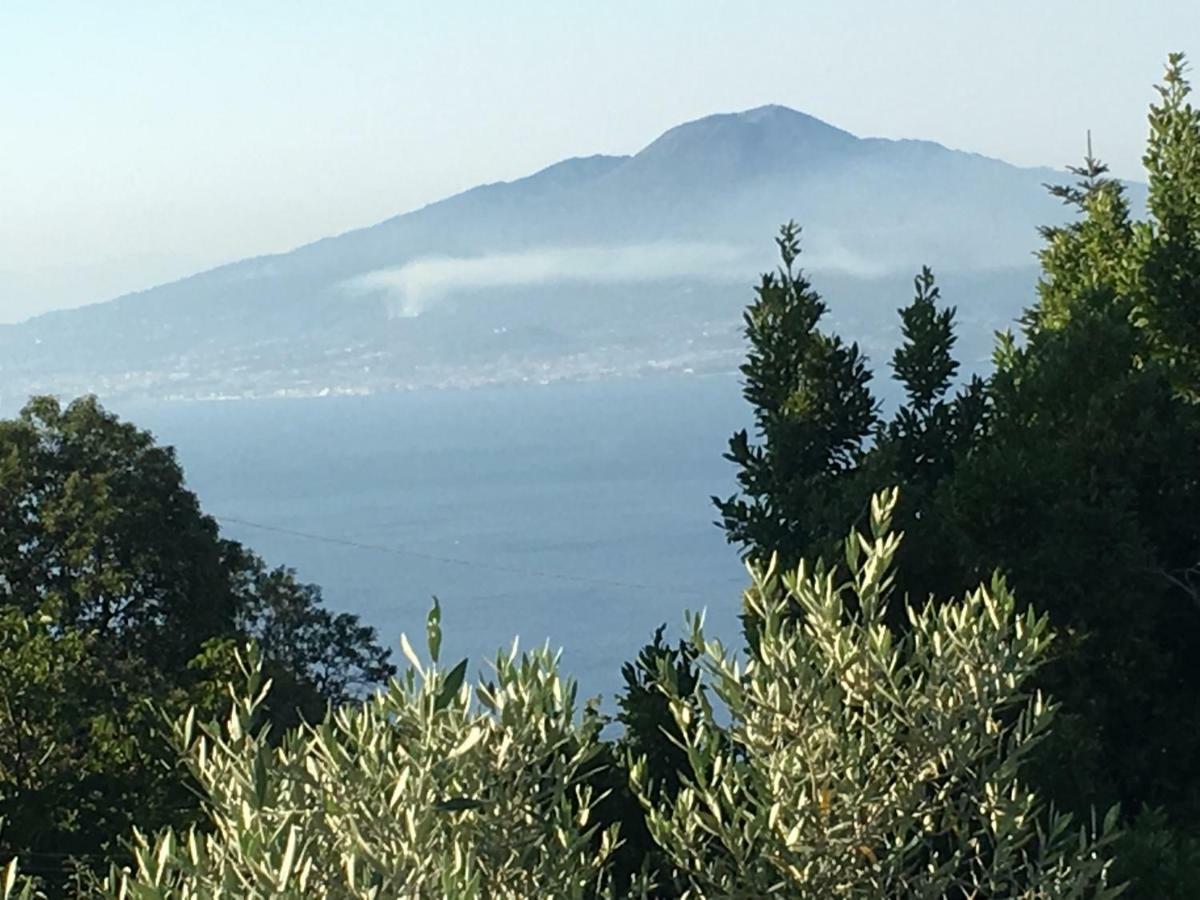 Villa Annabelle SantʼAgata sui Due Golfi Zewnętrze zdjęcie